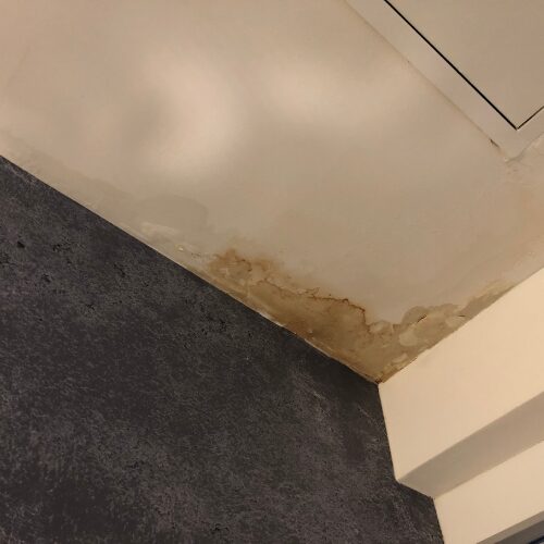 屋根裏や室内への雨漏り
